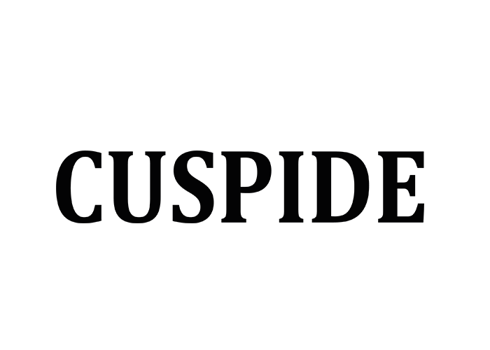 LOGO-CUSPIDE-resized.png