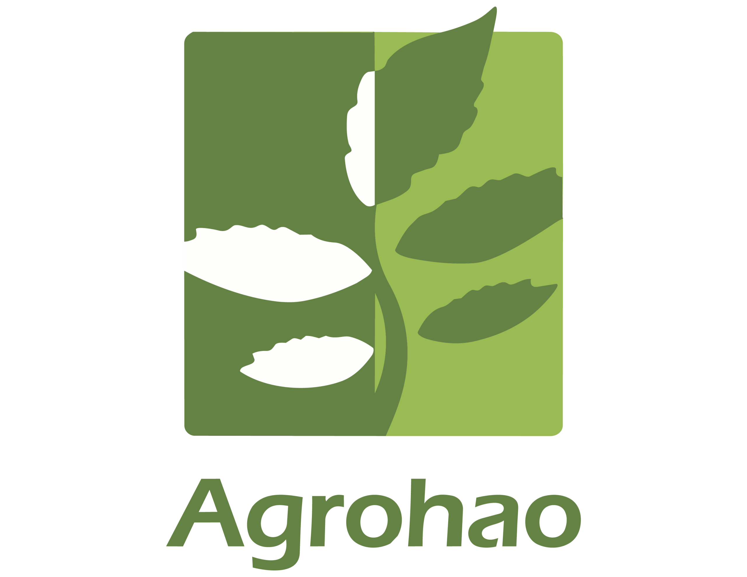 Logo Agrohao