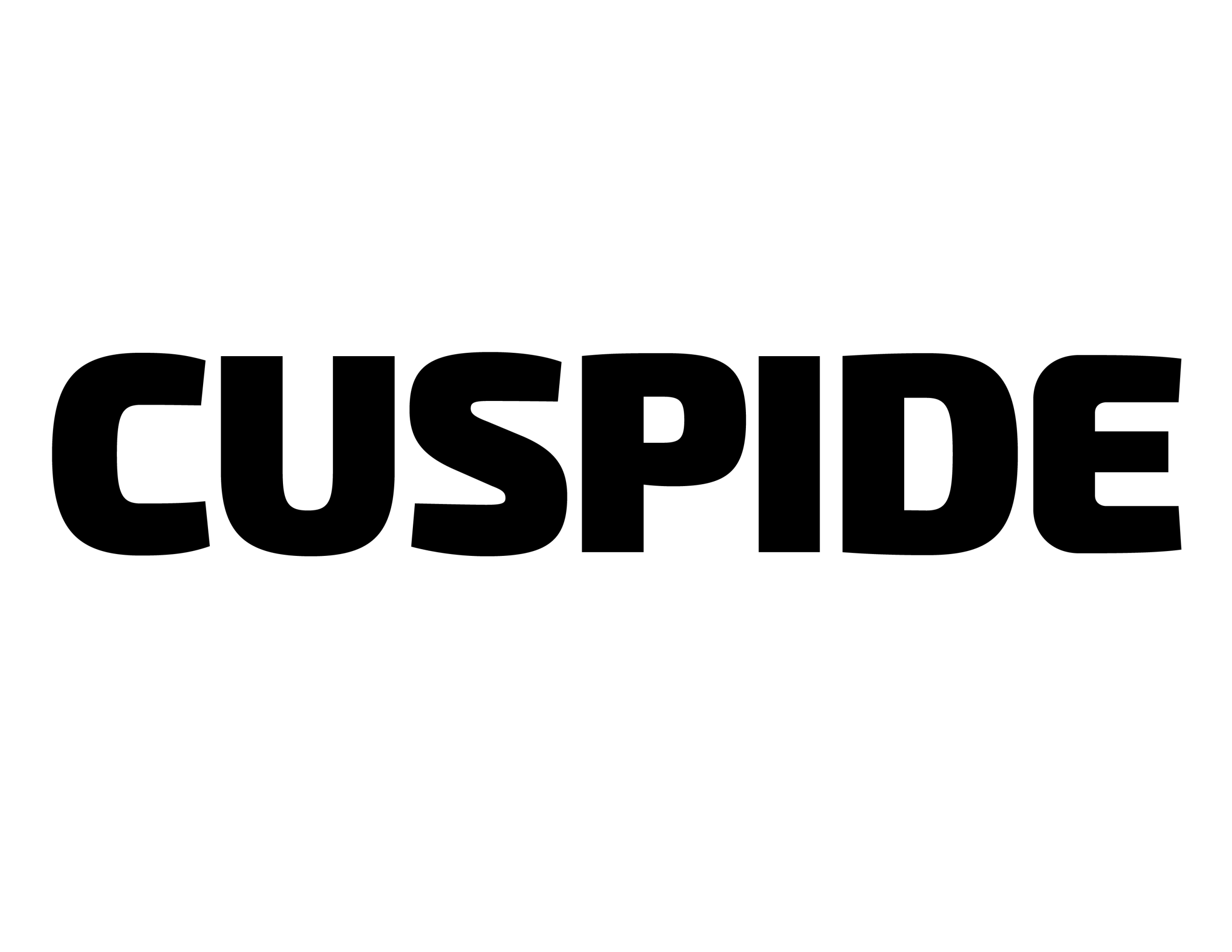 Logo Cuspide