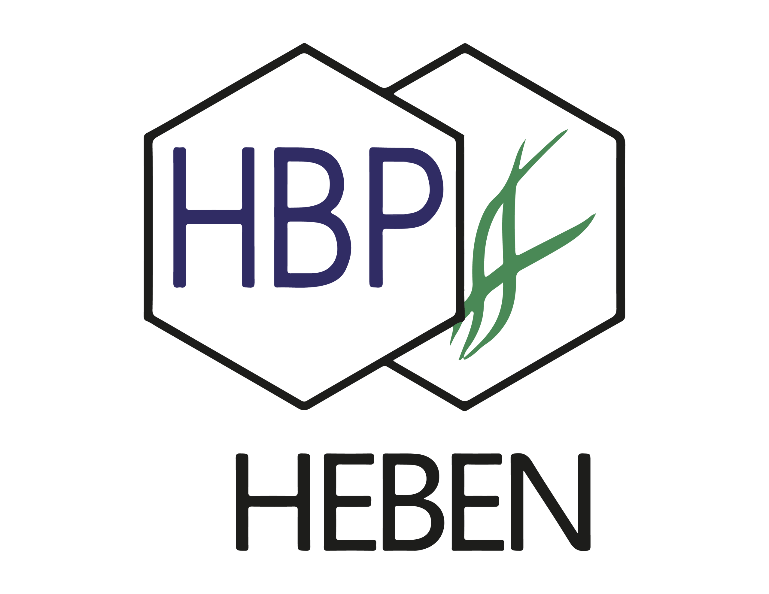 Logo Hebn