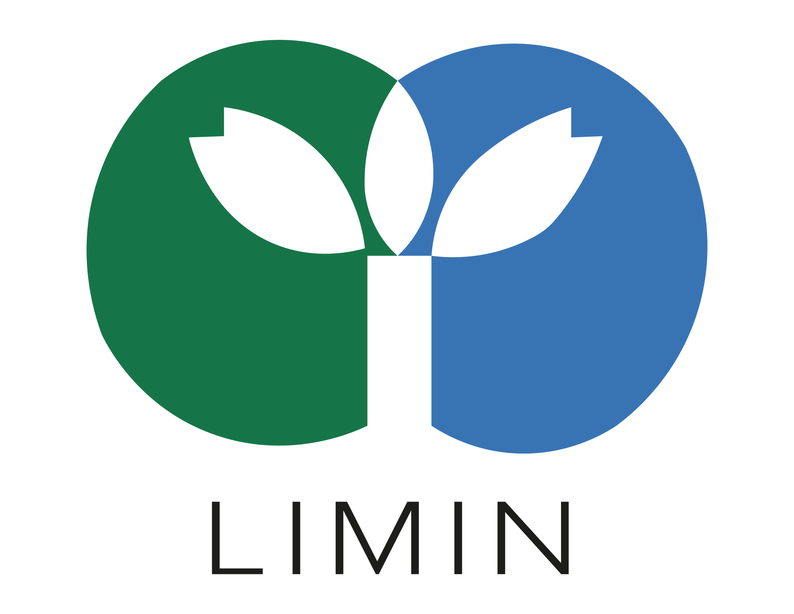 Logo Limin