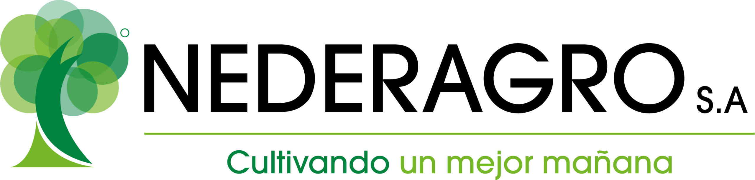 Logo NEDERAGRO